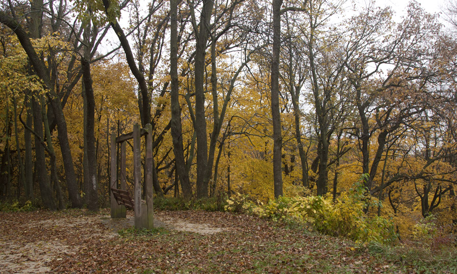 Image1